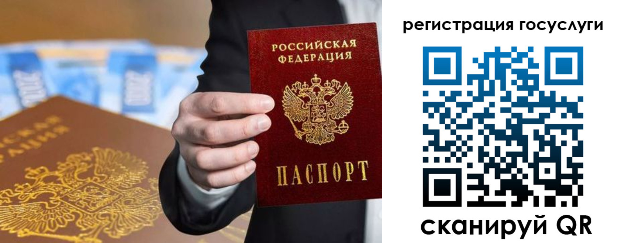 прописка в Сальске